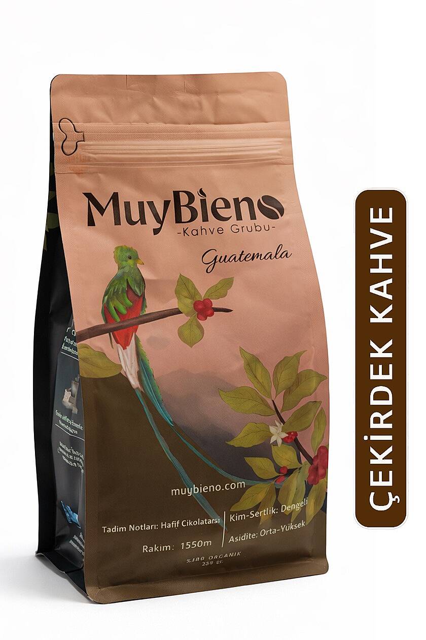 Guatemala Huehuetenango 250 gr. Çekirdek Kahve %100 Arabica