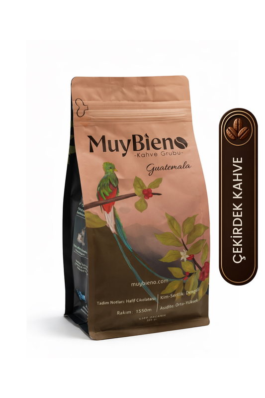 Guatemala Huehuetenango 250 gr. Çekirdek Kahve %100 Arabica